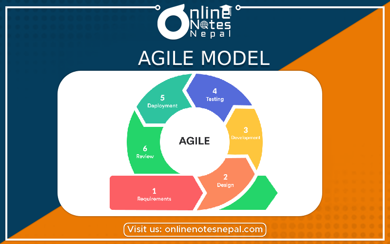 Agile Model Photo